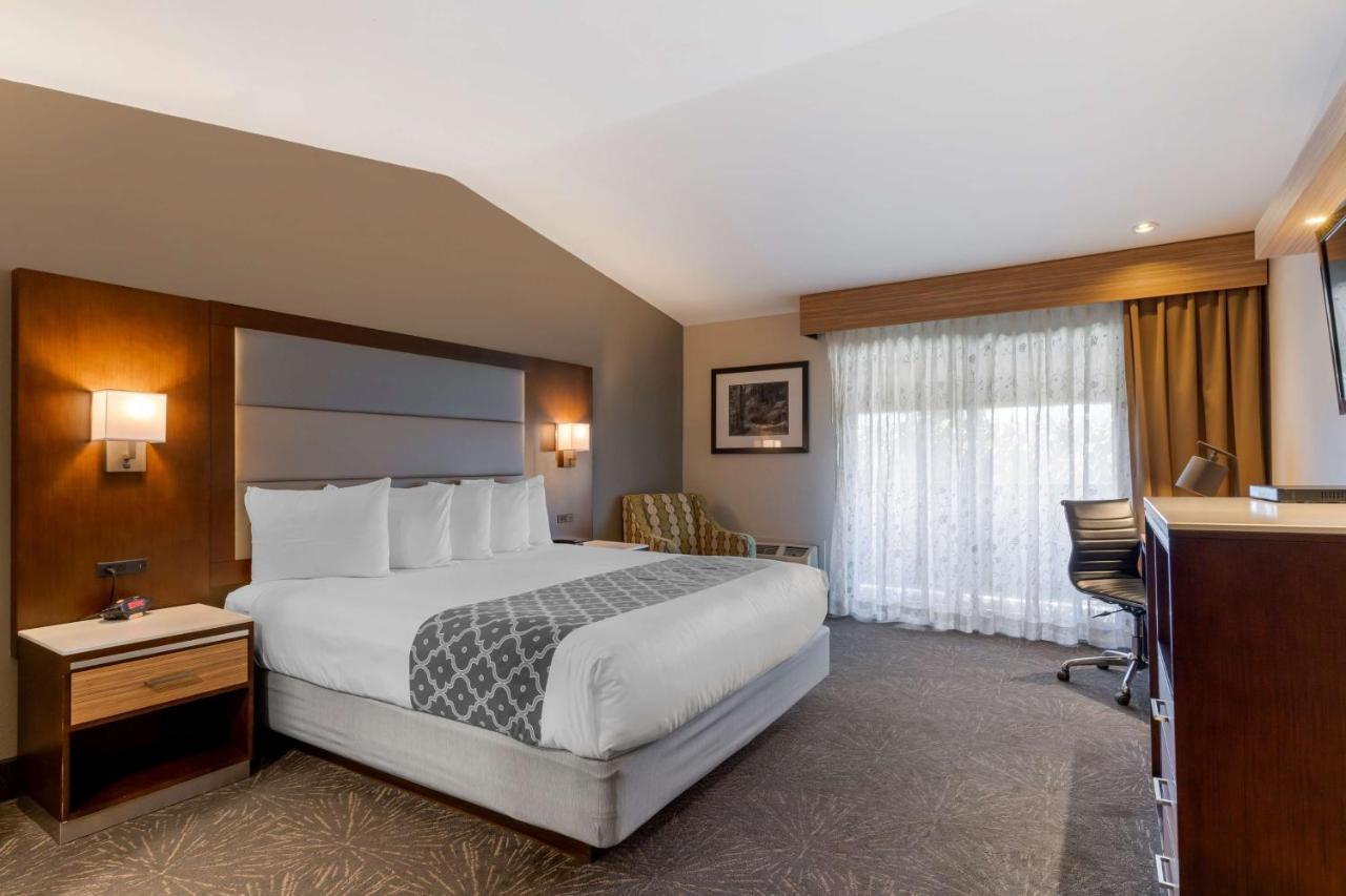 Best Western Plus Forest Park Inn Gilroy Eksteriør billede